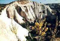 1 paysage g