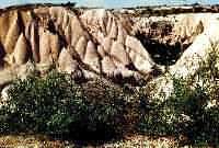 1 paysage m
