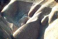 2 formes d