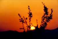 11 soleil m